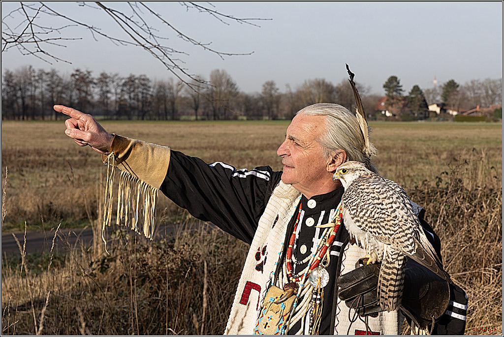 Cheyenne-Halbblut Hunting Wolf in der Falknerei Pierre Schmidt; Gymnich, 09.02.2023